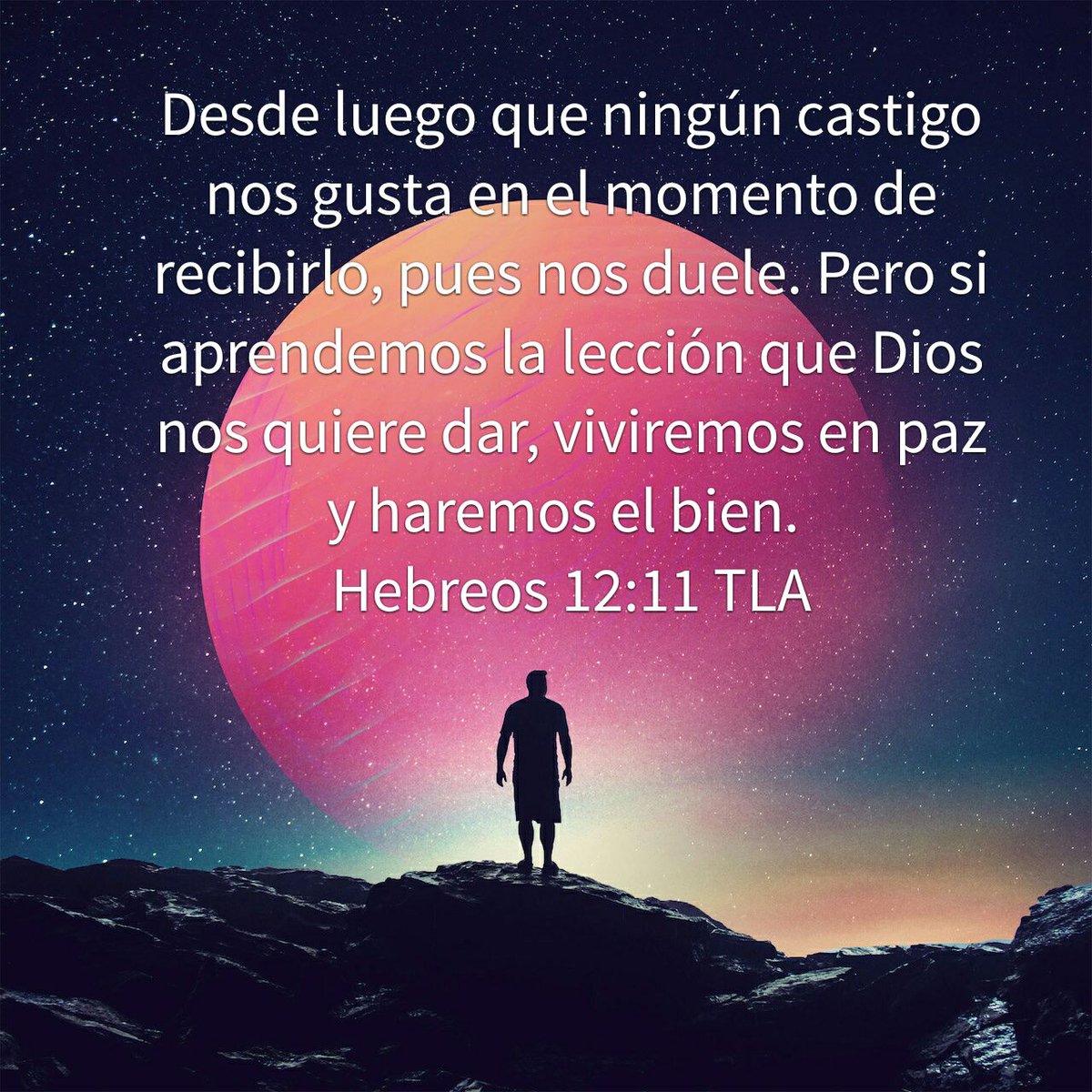 lisbetsuarez's tweet image. 