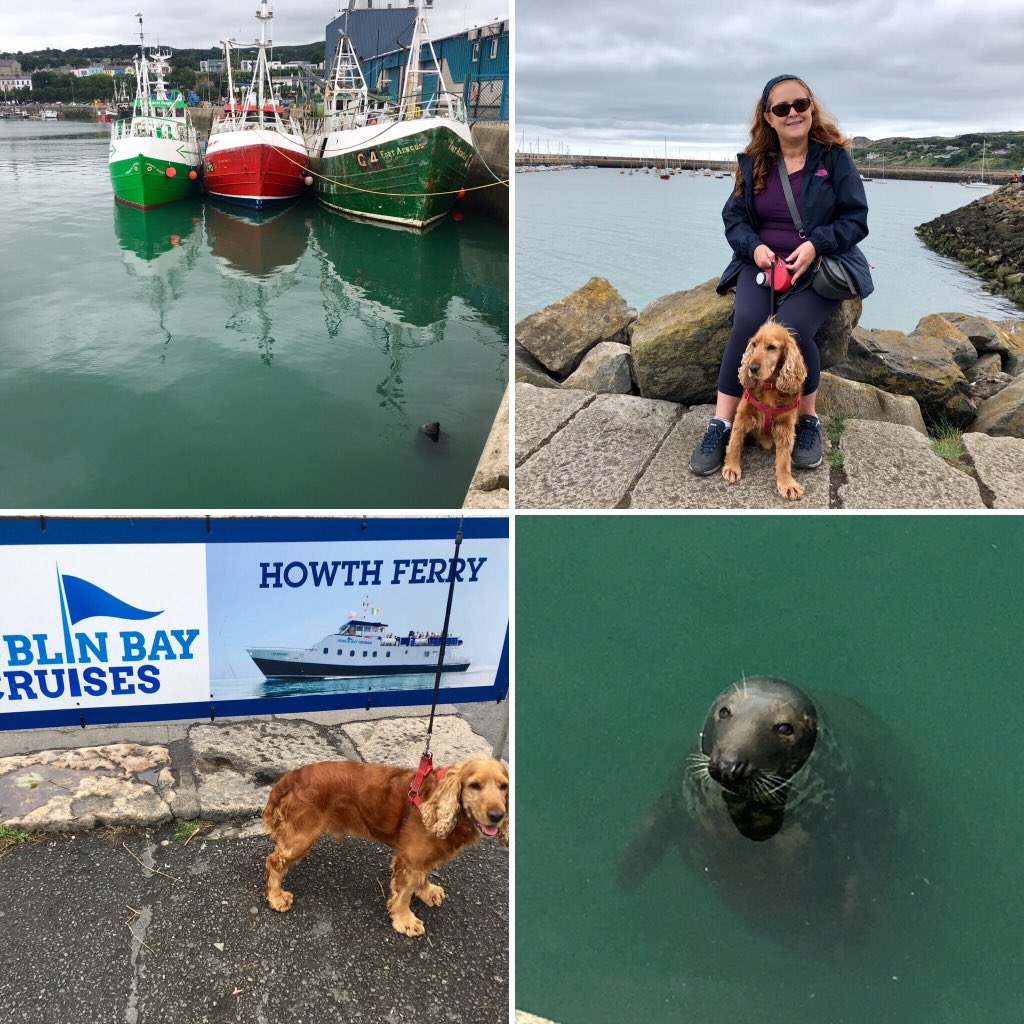 What a great day out with #dublinbaycruises @dublinbaycruises #dunlaoighre to #howth #dogfriendly #summerindublin #summerinthecity #irelandsancienteast #ireland #petfriendlyireland