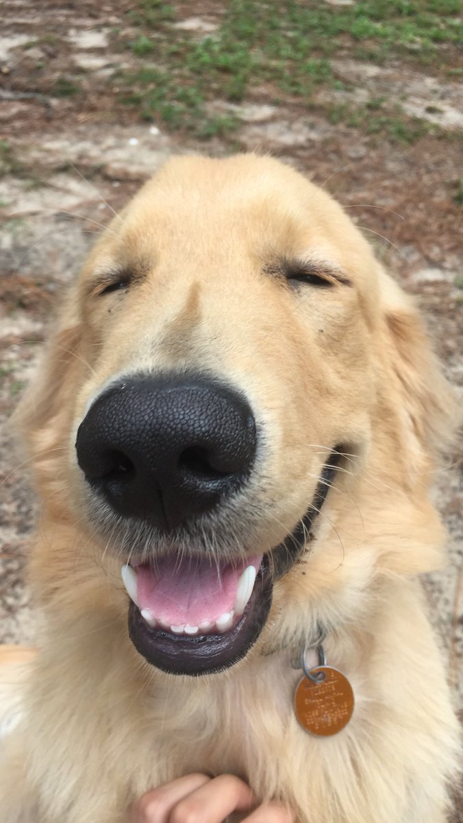 Devinbrown31's tweet photo. Someone look how happy my buddy is https://t.co/9SWqOLGZjN