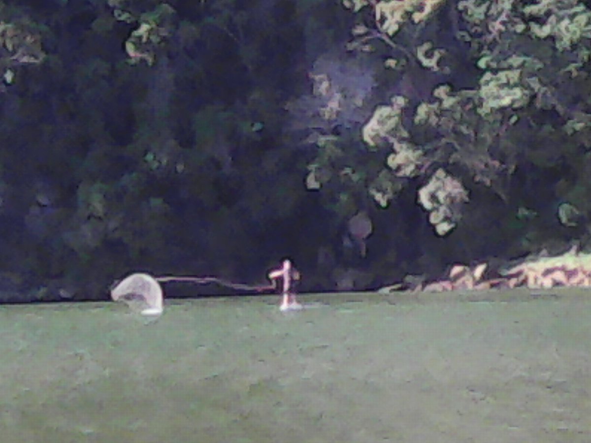 Chillwithwillza's tweet image. Very impressed with his #CASTNET skills from a SUP.Biggest mullet I&apos;ve everseen