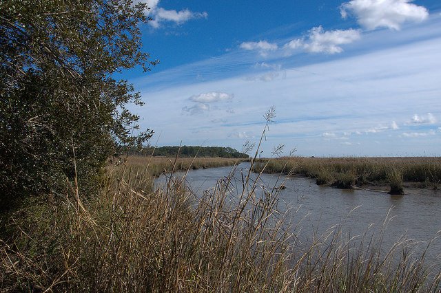 FtKingGeorge's tweet photo. Join us Saturday, August 25th for an intro to kayaking! Paddle down beautiful Black Island Creek w/ our rangers as they show you the basics while enjoying the view. #livelovekayak #blackislandcreek #FortKingGeorge #kayak #DNR https://t.co/VPoNyIQkq0