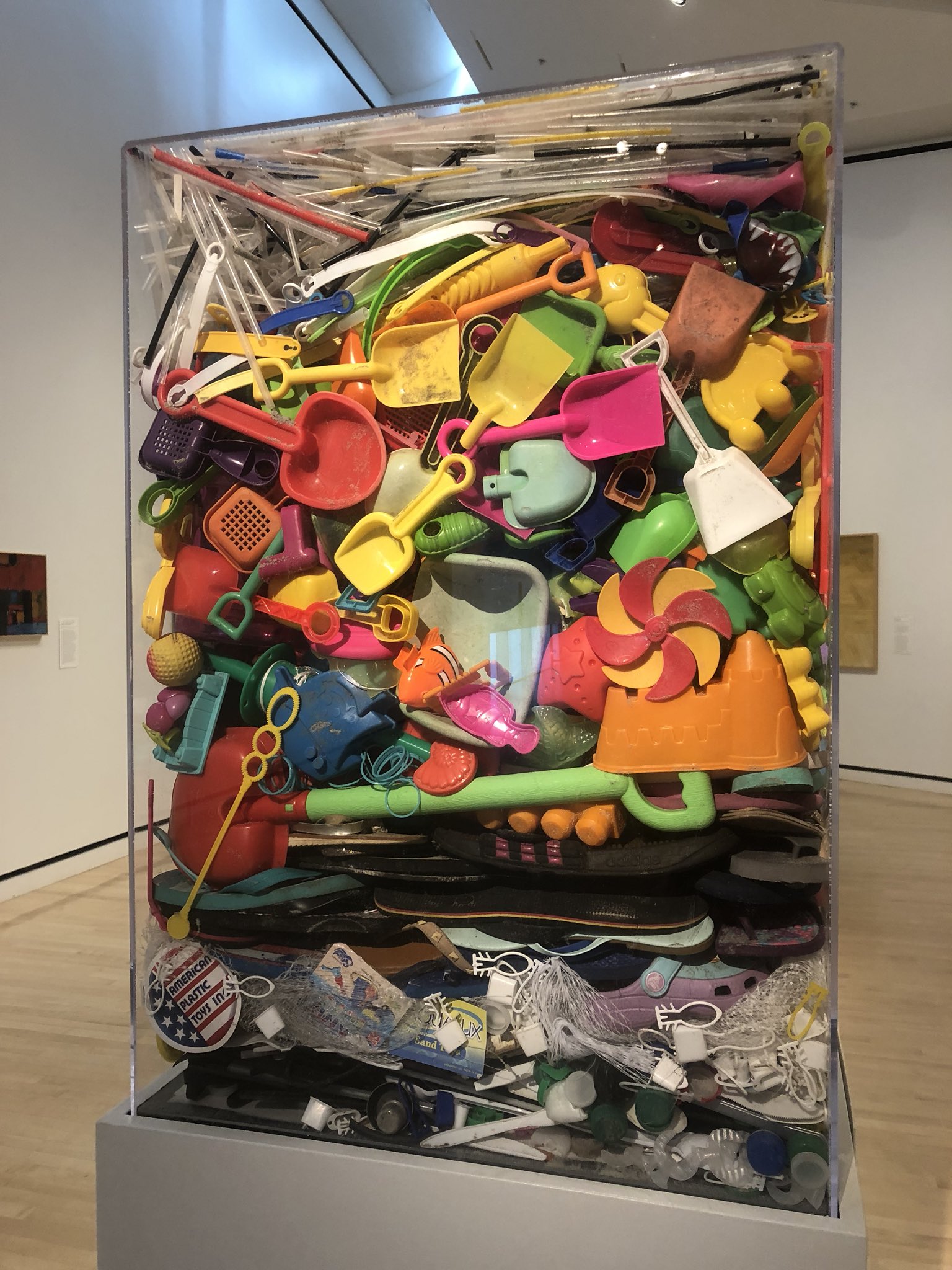 Dr Elizabeth Sargent On Twitter Intervention With Litter - 