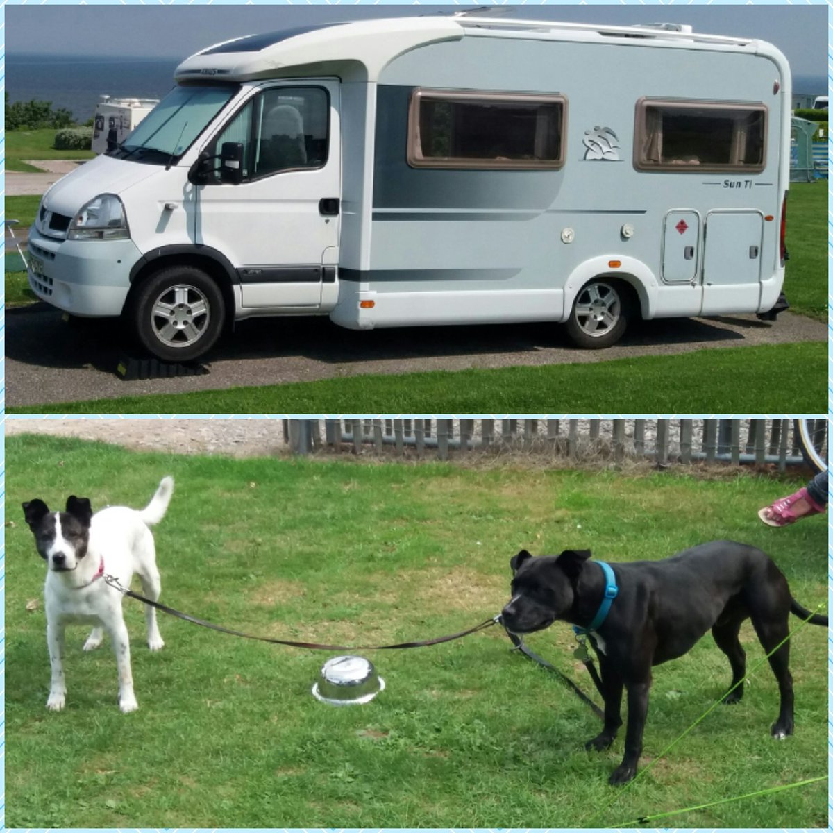 alisonaju's tweet photo. Active day emptying and cleaning the van with my 2 usual dog walks thrown in! #welltired #AHPsActive #WeActiveChallenge @WeAHPs weather not as seen here back to English rain! https://t.co/6kHhxPqQ12