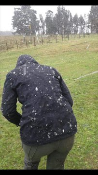 Ver imagen en Twitter