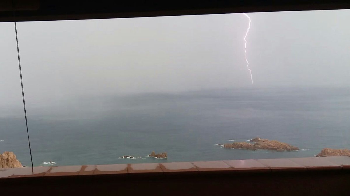 Fabio Tamburini (@tricchio21) on Twitter photo 