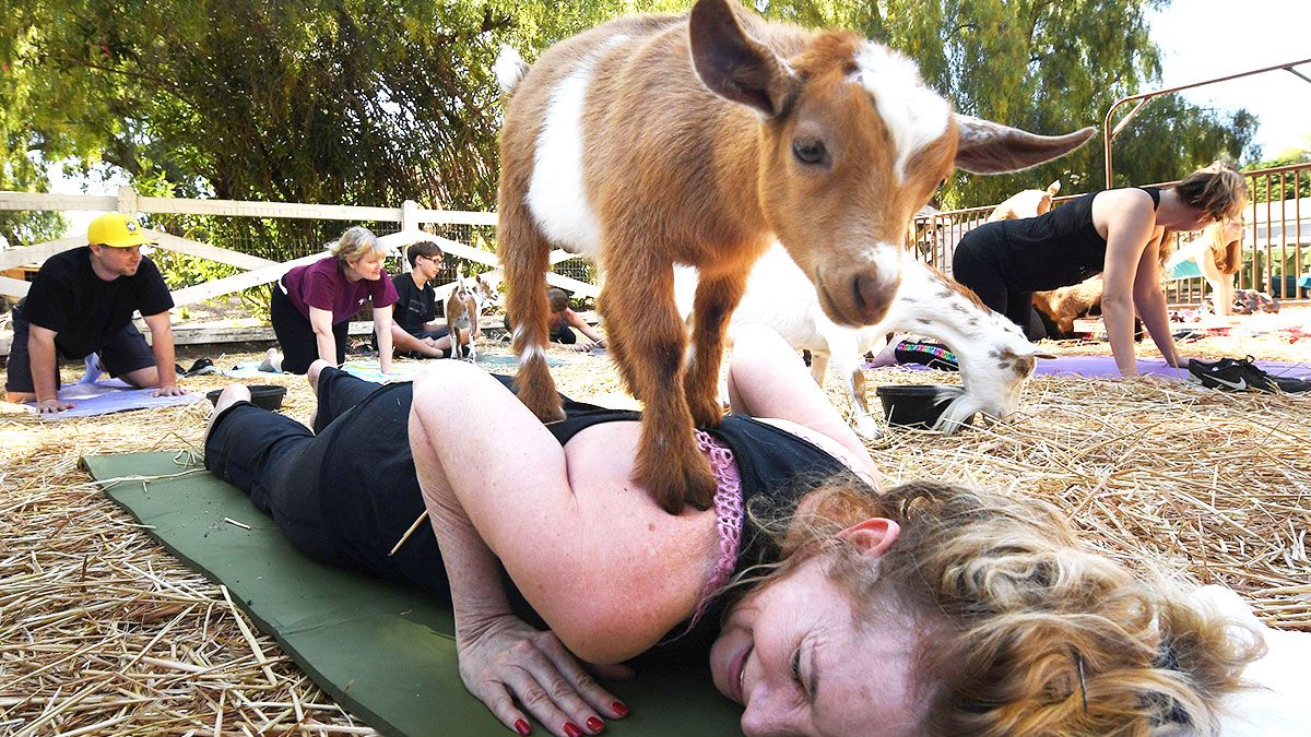 How Self-Care Became So Much Work buff.ly/2Mbducz

#SelfCareSunday #VitalityHealthcare #SelfCare #WeekendWisdom #PortageMI #Wellness