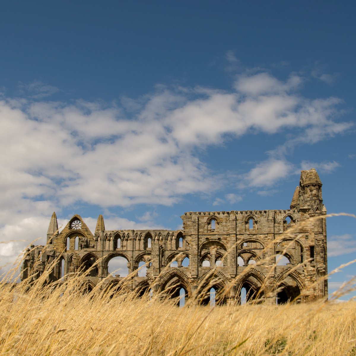 raye74's tweet photo. Whitby Abbey in the sun
#Nikon #nikond3300photography #nikond3300 #nikonphotography #whitybyabbey #abbey #northyorkshire #englishherritage #england #visitengland #bluesky #clouds #igsky #igclouds #Whitby https://t.co/JB5Ju4NiTD