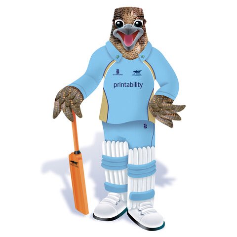slinkeeedotcom's tweet photo. An old one for #colour_collective this week as I’ve been working on an educational book. This was a mascot design for Derbyshire CCC. The falcon is their cricket mascot and was made into a costume. #mascot #kidlit #Falcons #BasaltGrey @Clr_Collective https://t.co/J68PQRl0Og
