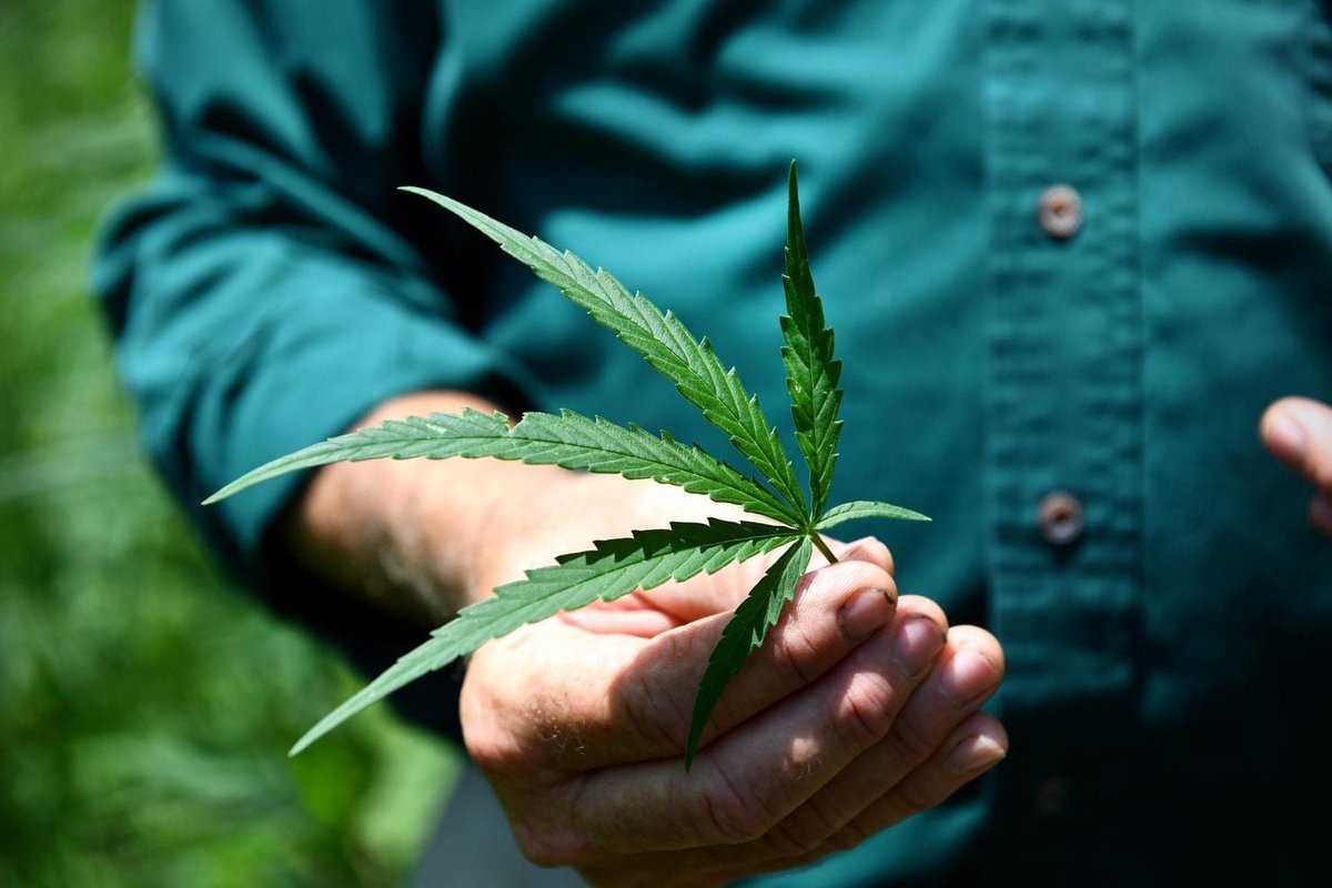 After a decades-long campaign, lawmakers are poised to fully legalize hemp. It is time to push forward and end cannabis prohibition. #mjreformnow
buff.ly/2PacCU5