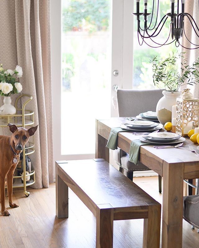GLebronInterior's tweet image. When you’re trying to photograph early in the morning and then Bella shows up! Happy Friday everyone an I’ll share more of this transitional table setting soon. .
.
#tablesetting #decor #transitionaldecor #summertofall #myhomeismyhappyplace #mysanctuary … ift.tt/2nNatkK