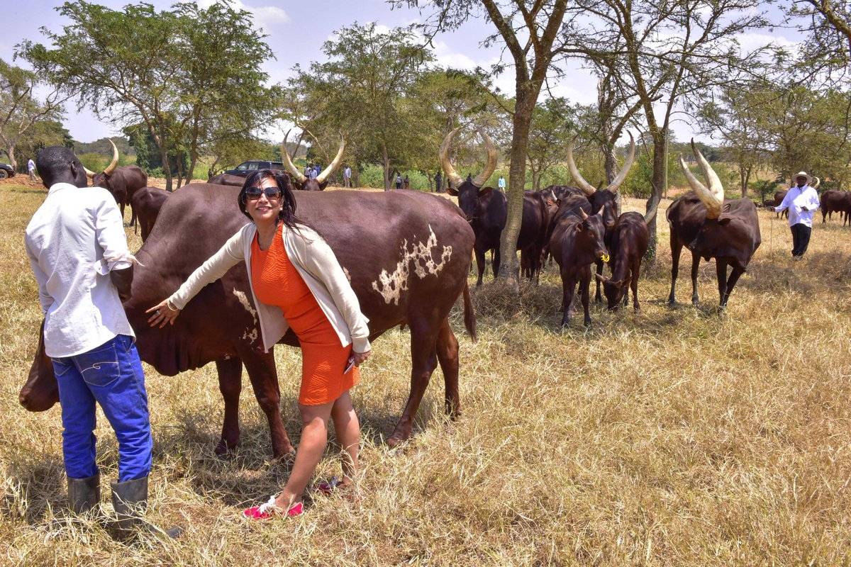 KagutaMuseveni's tweet photo. Abe's company also plans to introduce mosquito-repellant paint on the Ugandan market. The government will offer the investors necessary support to see through their projects. https://t.co/wTrLrlhzZa