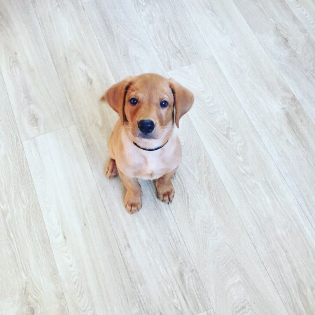 Rebecca Kate 💙 tweet media