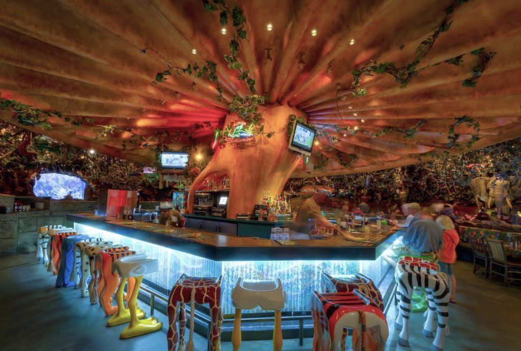 Rainforest Cafe On Twitter The Watering Hole Disney