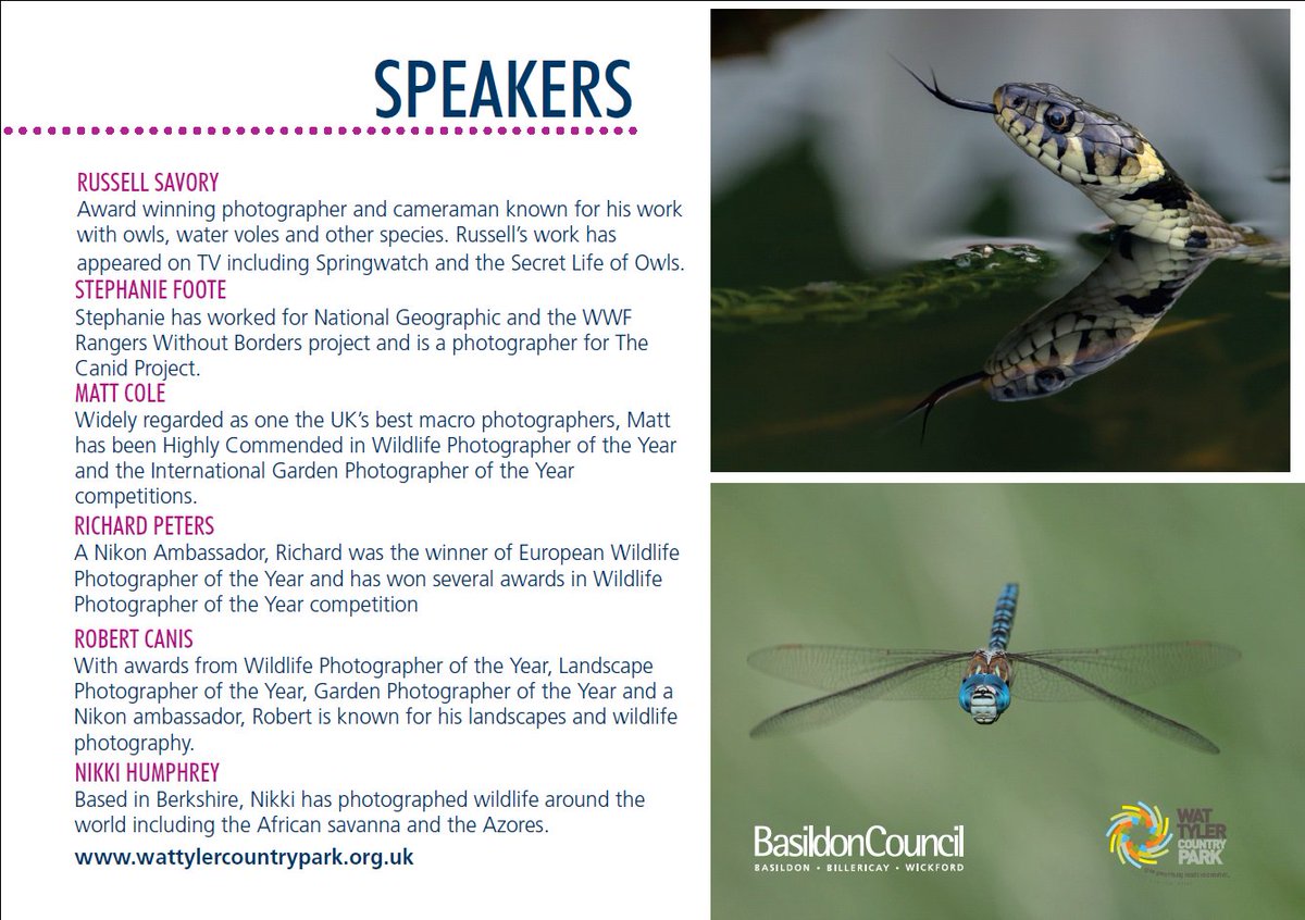 Wat Tyler Park tweet media