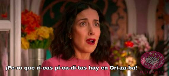 metlapilli's tweet image. 