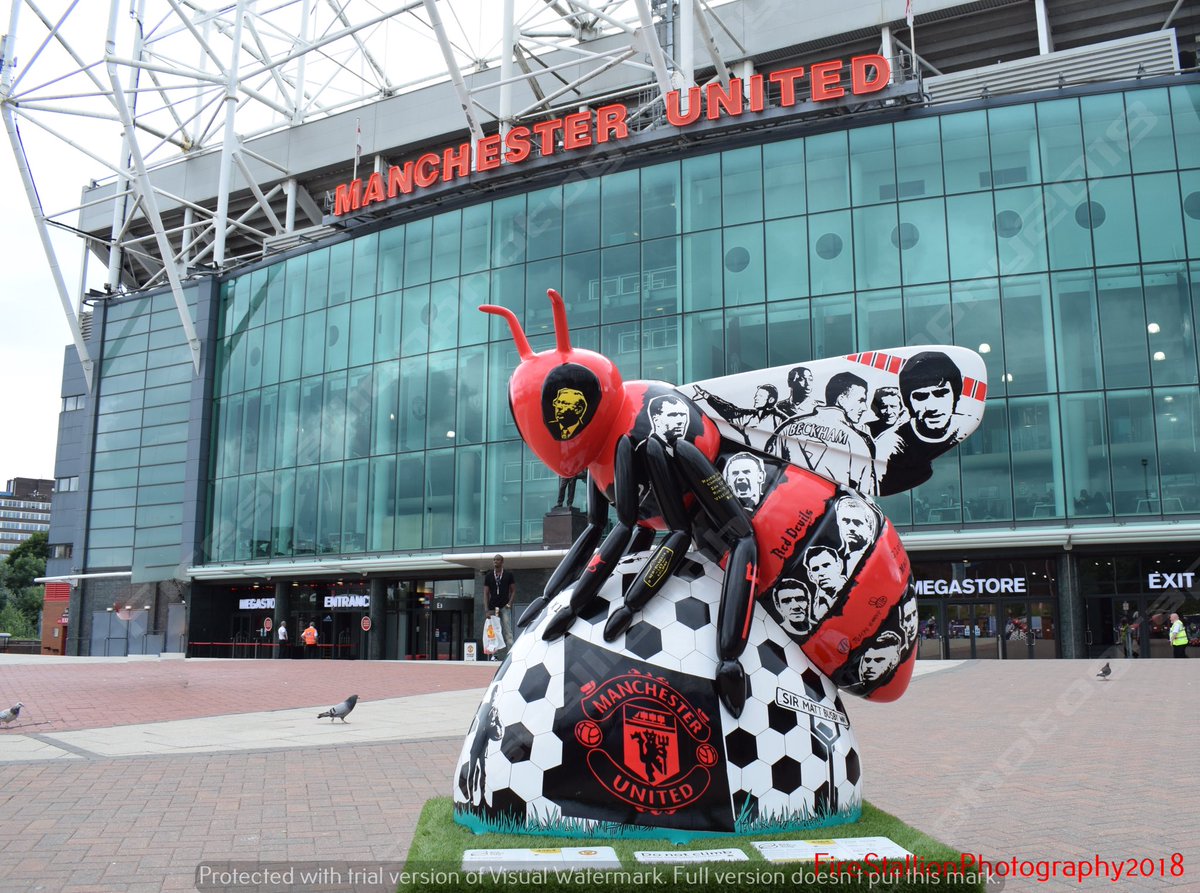FireStallion666's tweet photo. One of my very favourite bees so far 🐝🐝🐝 #beeinthecity #manchester #manchesterbees  #bees #beesinthecity #beehunting #oldtrafford #manchesterunited #manchesterunitedbee #beeunited @beeinthecitymcr @ManUtd @visit_mcr #firestallionphotography https://t.co/HYALbv2kyZ