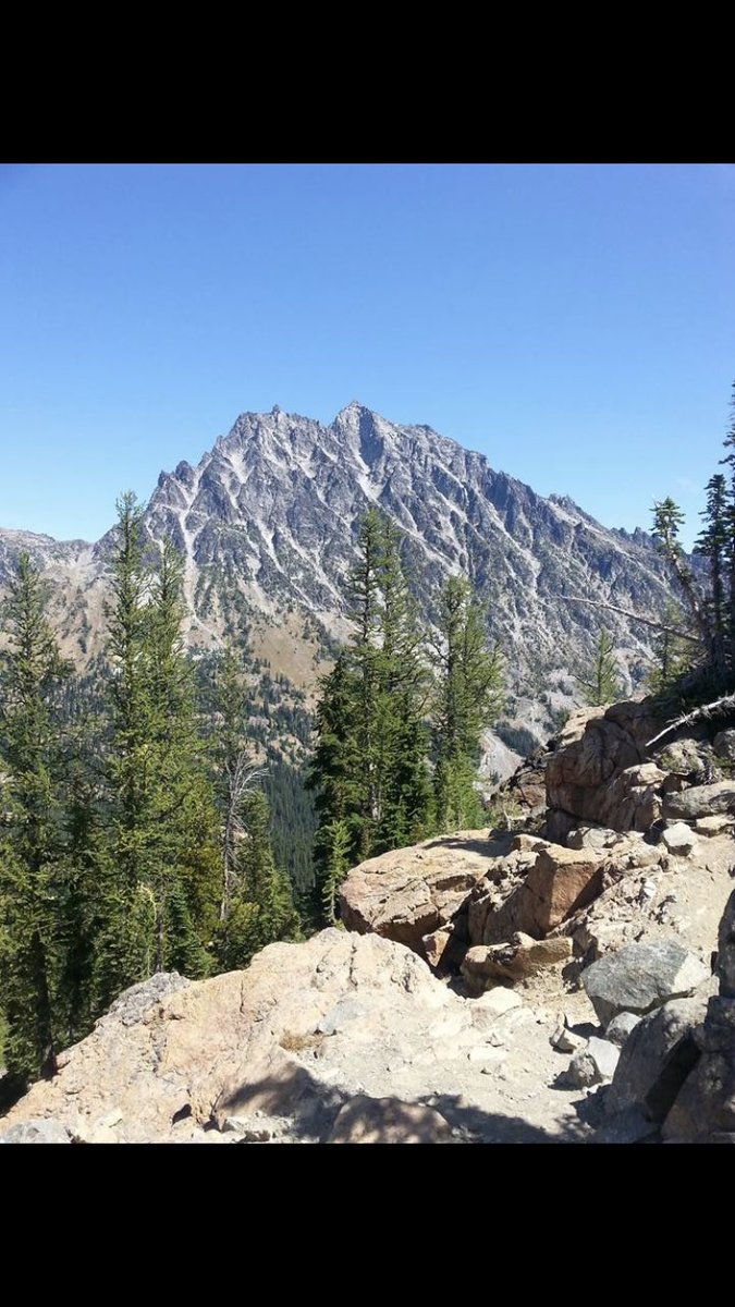 mt_stuart's tweet image. I see you looking at me.