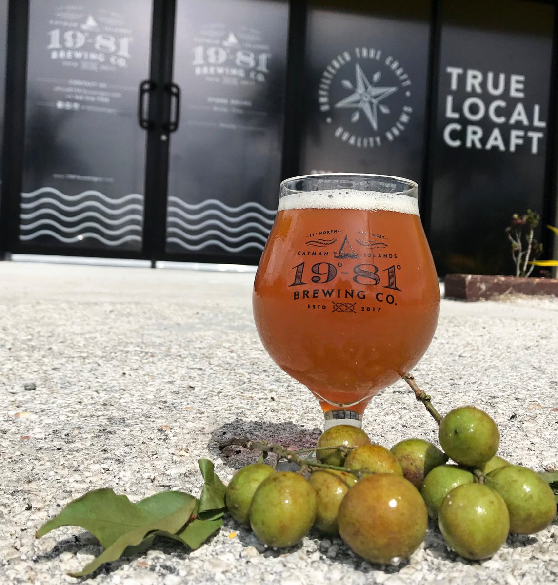 1981brewingco tweet media