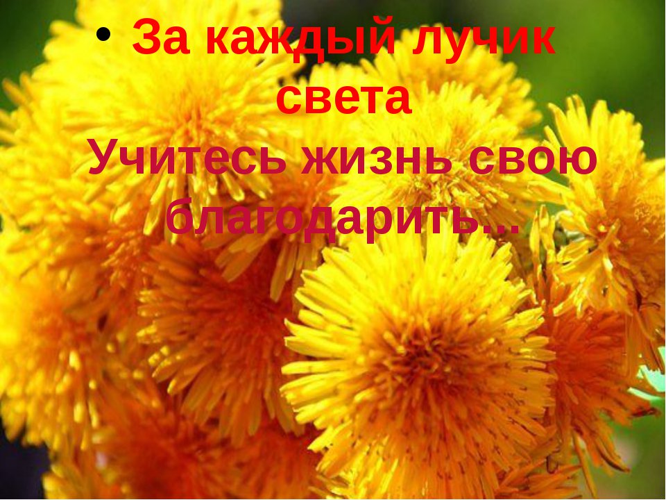 Картинки спасибо жизнь, днем