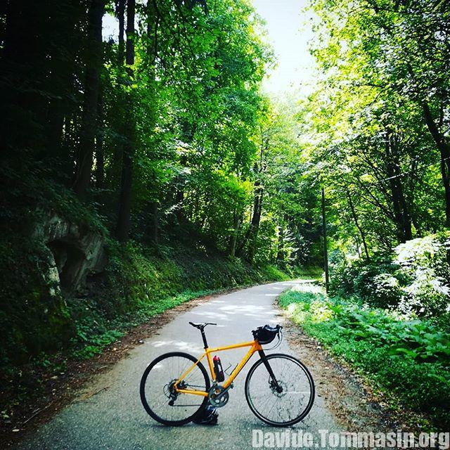 davide_tommasin's tweet photo. Randonnè in solitaria tra i monti #fvglive @fvglive @igerscycling @igslovenia #slovenia🇸🇮 #fixedforum - from Instagram... https://t.co/yHf3wVLna5