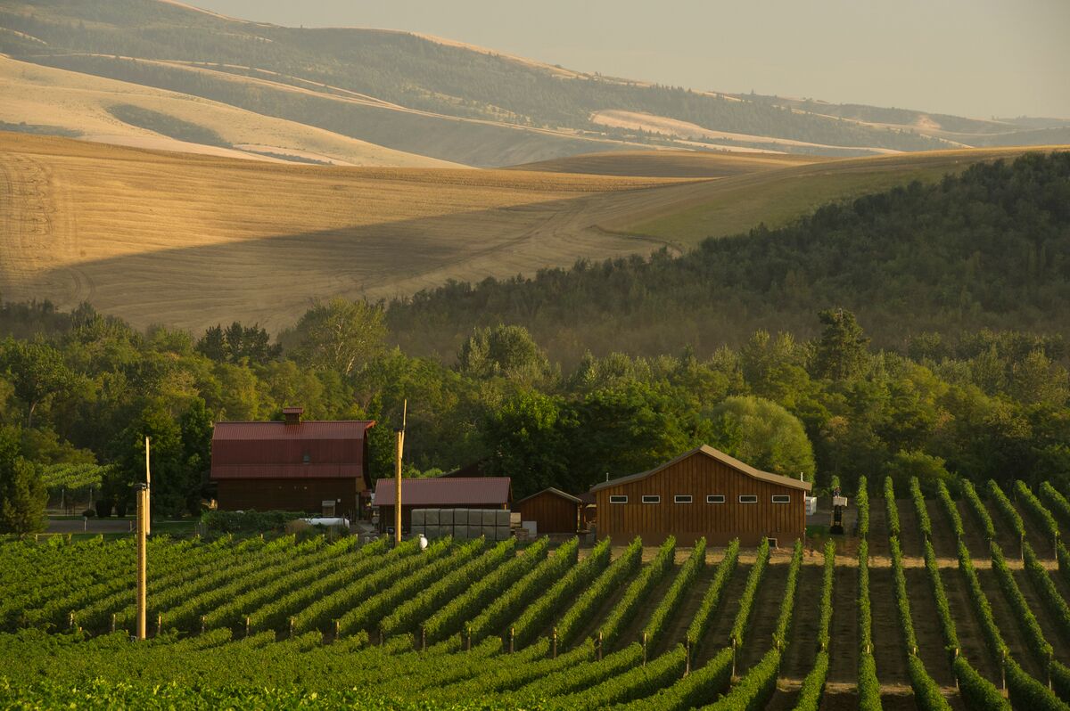 Know before you go! Read all about Walla Walla from our partners at @visitwallawalla! winebloggersconference.org/from-the-organ…  #WBC18