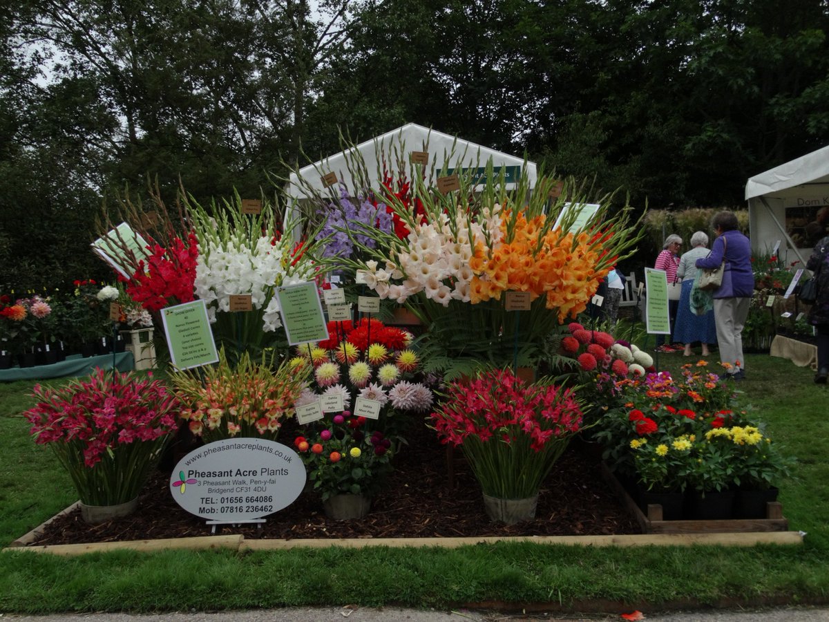 There are all sorts of plants here at <a href="/The_RHS/">The RHS</a> Rosemoor #GardenFlowerShow - There are bright colours, lovely textures, wicked plants and there are spooky air plants.

Just two more days to visit more info here:

rhs.org.uk…/ro…/RHS-Garden-Rosemoor-Flower-Show