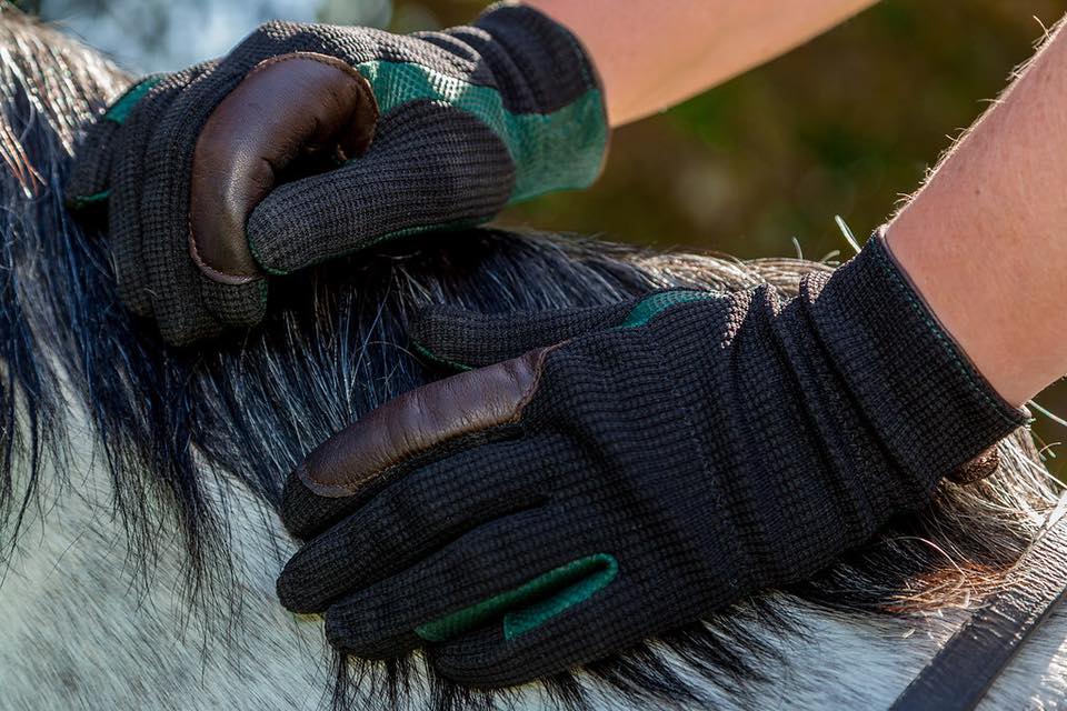 Sponsors of the ridden purebred geldings - Signature Gloves @Signature_Lea very kindly they will give a pair of these amazing bespoke riding gloves to the winner.  @TimPennMFL wil be at the show to talk to you about options for these gloves #gloves #ridinggloves #signaturegloves