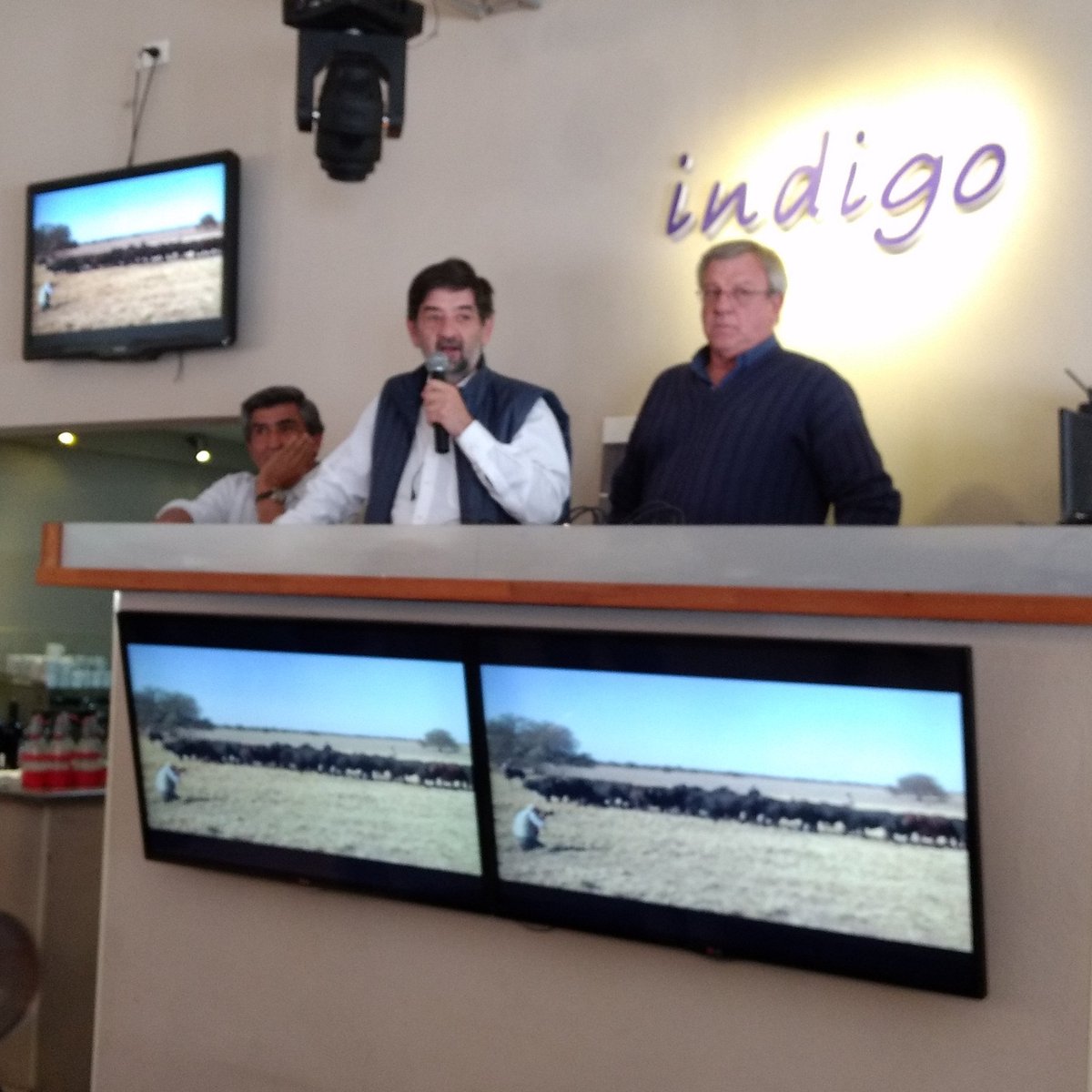 BergeseMartin's tweet image. Arranca remate anual de #ElPorvenir de Walter Oroda en el predio Malabrigo de @srjmcba #Brangus #Rusticidad #NorteCordobes @BrangusArgentin