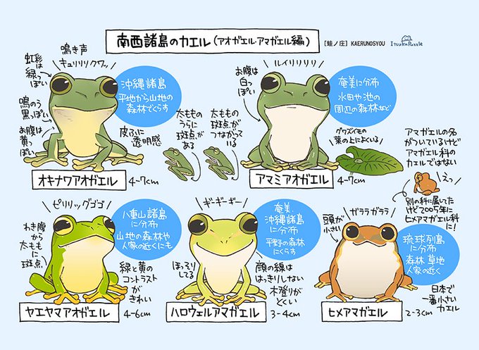 ヒメアマガエルのtwitterイラスト検索結果 古い順 ヒメアマガエルのtwitterイラスト検索結果 古い順
