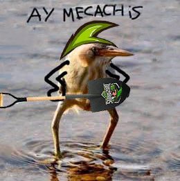 WizardsClub's tweet photo. ¿Alguien se atreve a hacer memes con nosotros?

#MemesMagicos 💚 https://t.co/OSRB7t2vIN