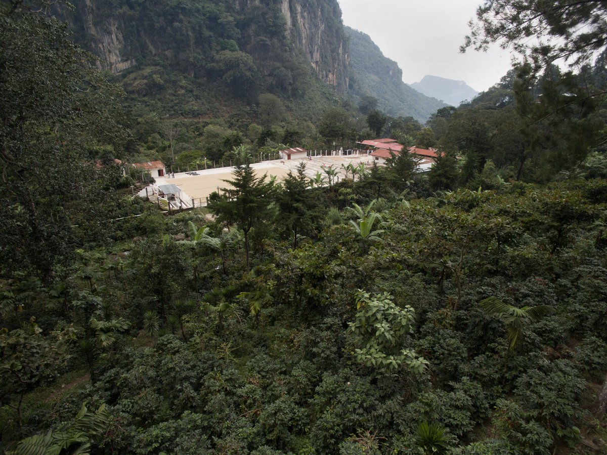 Vides 58 Coffees tweet media