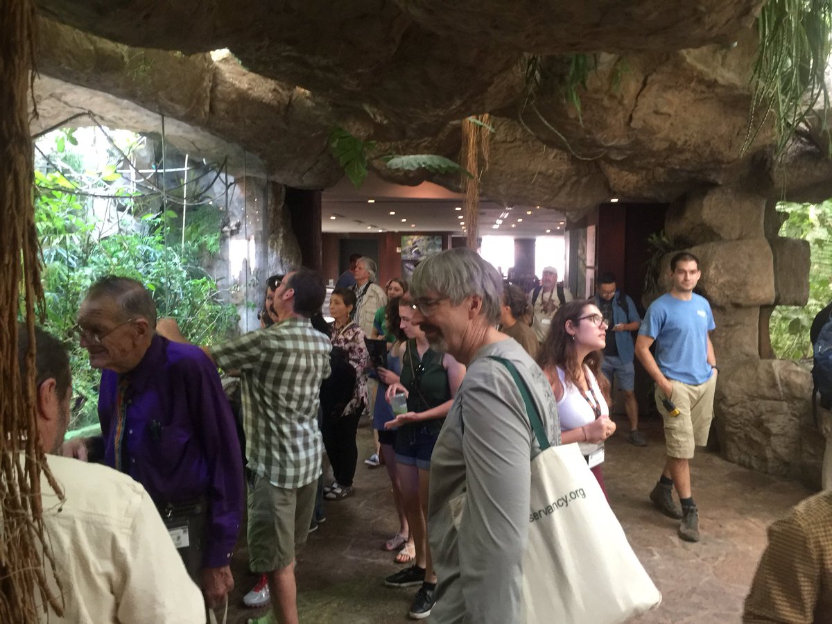 TurtleSurvival's tweet photo. #TSA2018! We would like to thank the Dallas World Aquarium for hosting us at their facility yesterday morning! Then we headed to Dallas Zoo!... https://t.co/VxRaTwoeqT
