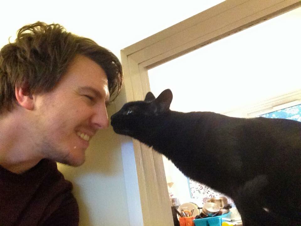 Dr Daniel Allen tweet media