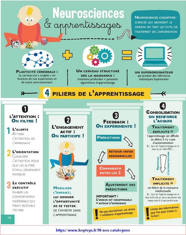 #Infographie Les 4 piliers de l' #Apprentissage. #Neurosciences