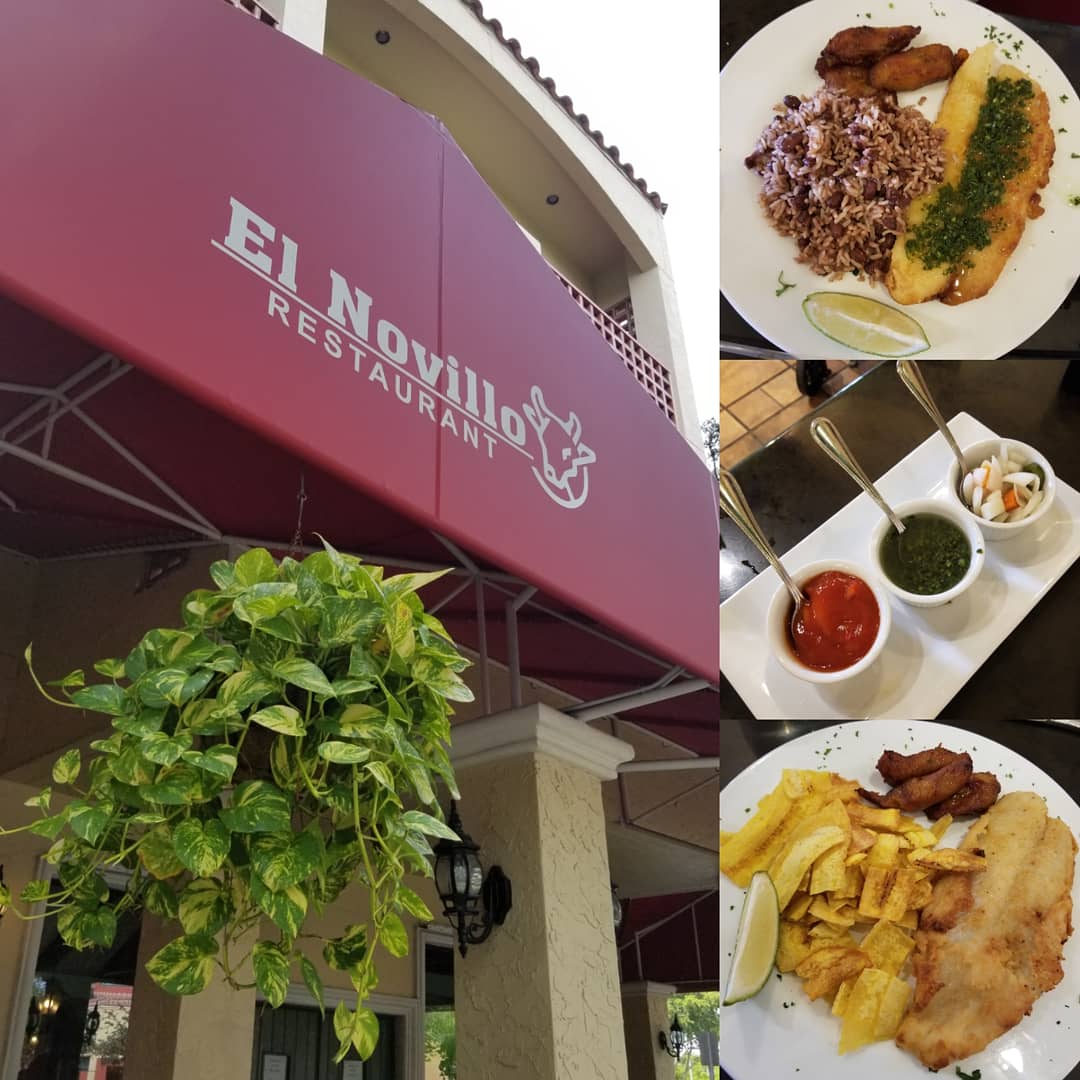 fedroapproved's tweet photo. The #gastrotour takes us to #elnovillo in #miamilakes. A favorite #fedroapproved restaurant with a light, flaky fish menuière with #gallopinto and their housemade #chimichurri sauce. Join us on #instagram for the latest post! https://t.co/1FCvUr5cTh