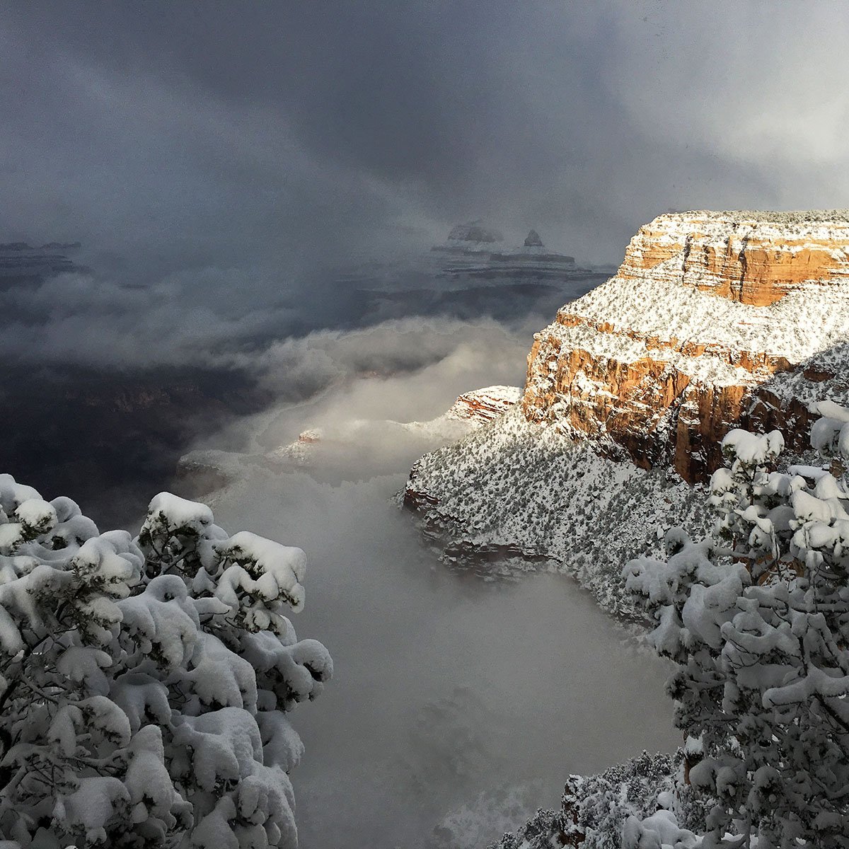 A photograph of snow covering the trees and cliffs of Grand Canyon, with thick clouds floating above and within the canyon itself