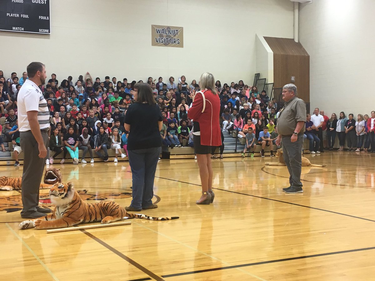 MrsMadison7's tweet photo. What a grand first day with students. I met a lot of grand kids and we had a grand opening assembly. #whywildcatsrule #BeGrand @MrMadison @swardyn https://t.co/gCLN8wGAAY