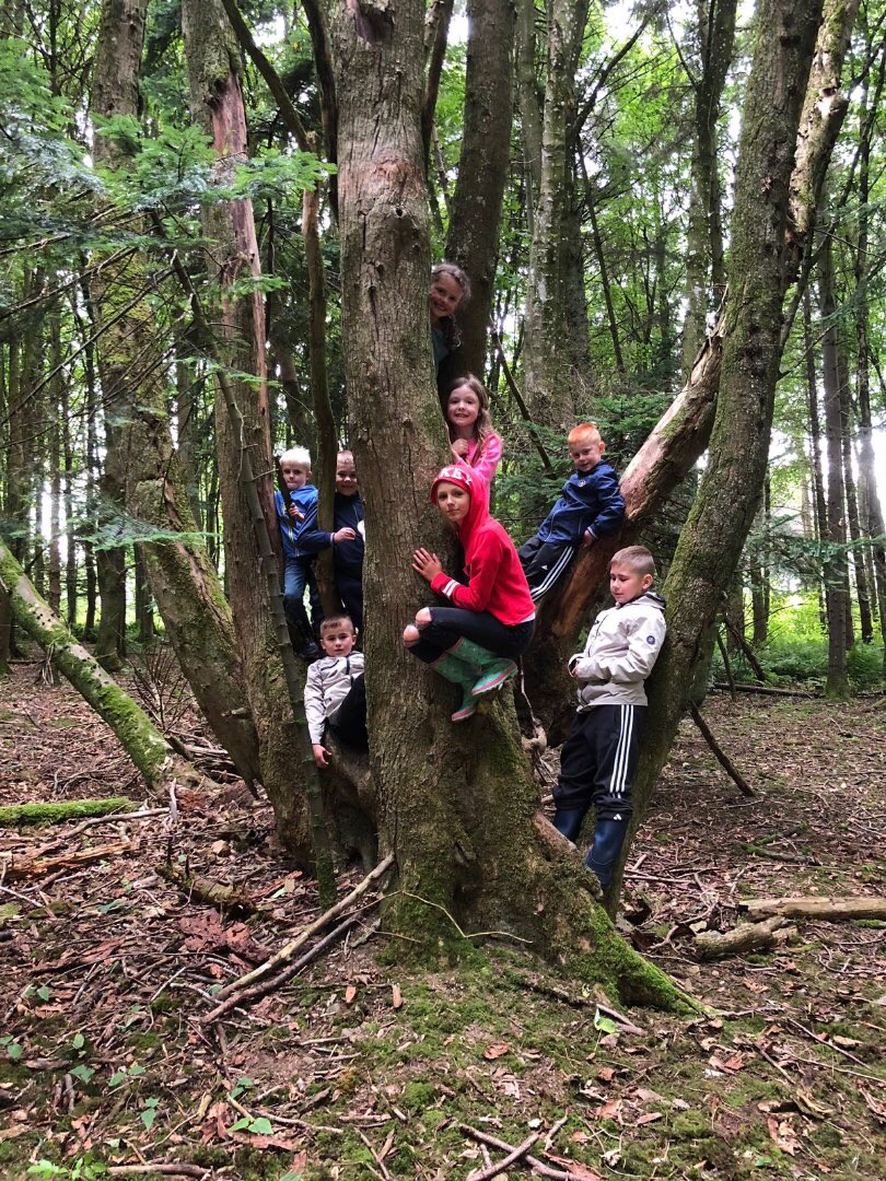 LeafyTrailsFS's tweet photo. Den building and tree climbing session @Formartines #denbuilding #shelters #survivalskills #getoutside #outdoors #outdoorlife #fun #MakingMemories #friendship #teamwork #cooperation #happiness #mindfulness #trees #play #playing #freeplay https://t.co/49w49yrPy0