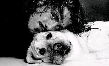 Footballers with animals on X: "Gennaro Gattuso using a dog as a pillow  https://t.co/txWQv63vNc" / X