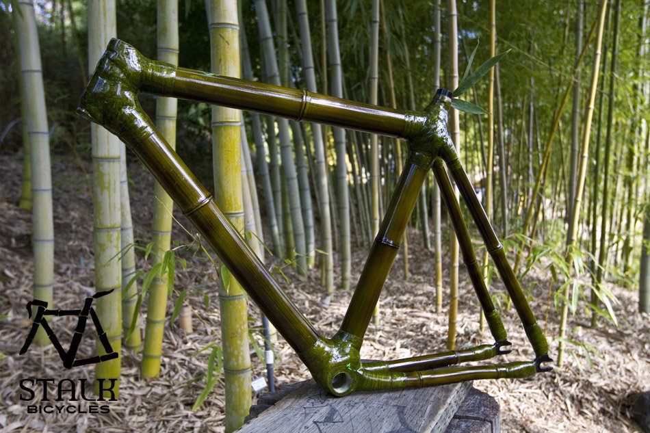 ArminGuerra's tweet photo. Las bicicletas orgánicas son fabricadas por bambú capaces de generar especiales características aerodinámicas y contribuir al medio ambiente con un producto que tiene una fácil descomposición en biogás y biomasa, 100 % reciclable. @ingenierosuac @UAutonoma  #innovaccionuac https://t.co/lGR7UzW21h
