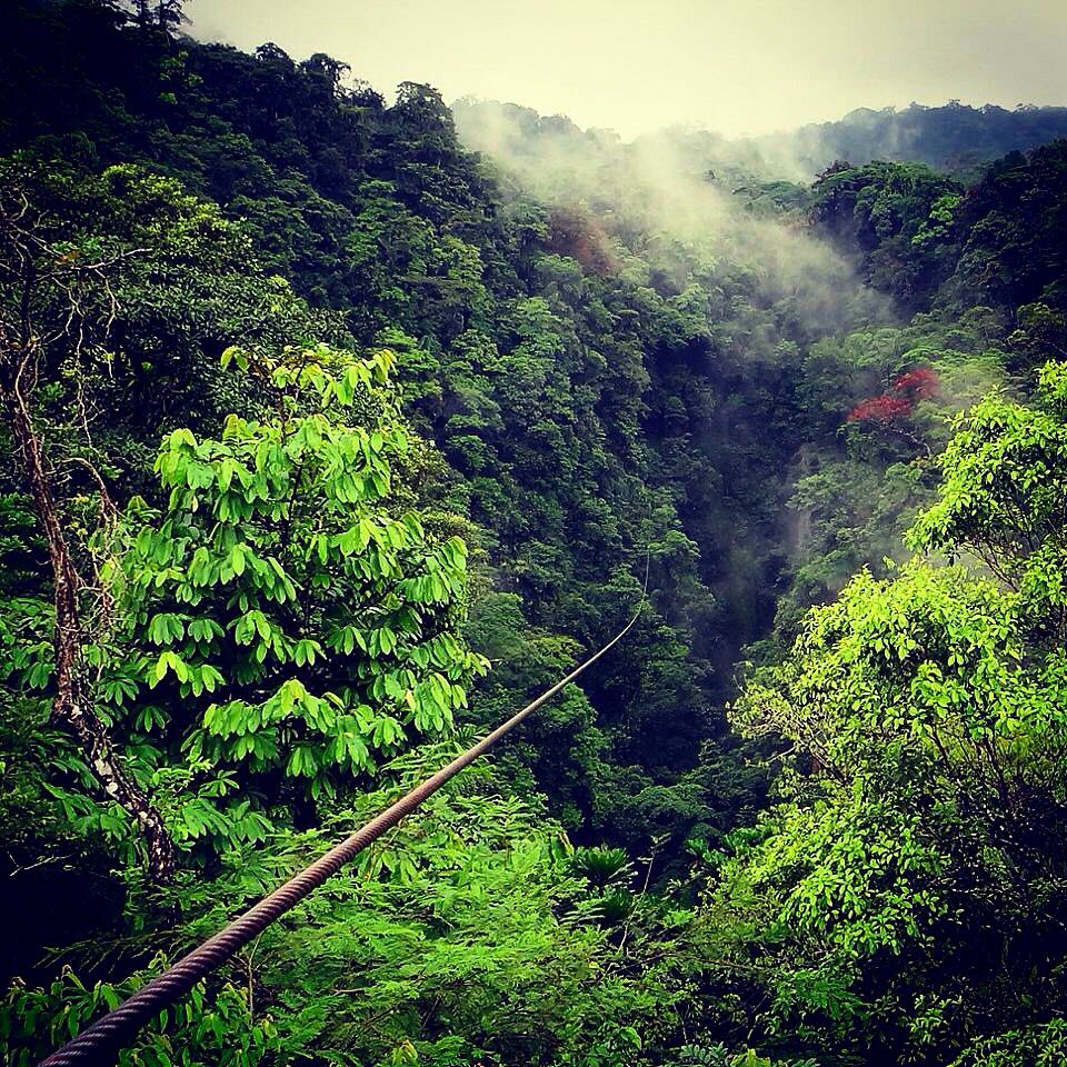 Picture I took when zip lining through the jungle of Costa Rica, close to the volcano town La Fortuna. Will never ever forget it. I recommend it to everyone. 💚 #Threeyearsago