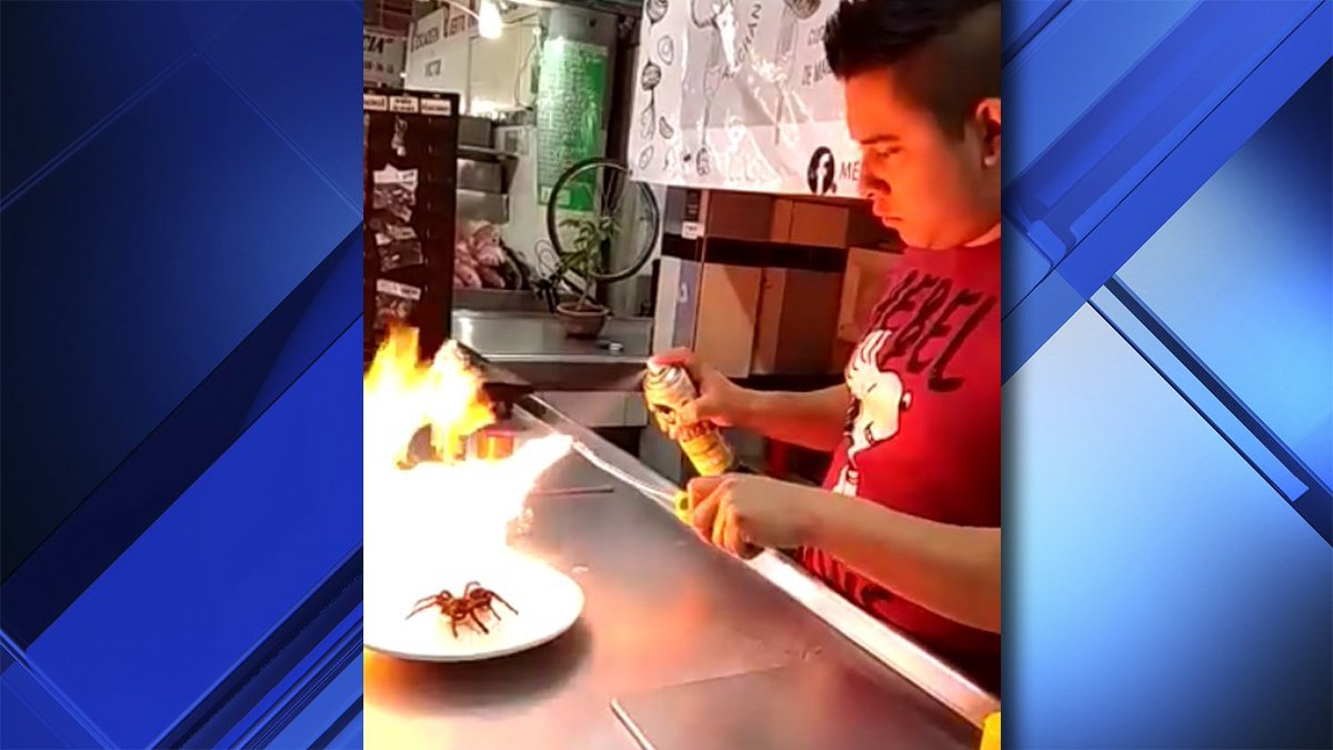 Mexican restaurant serving tarantula tacos busted for serving up a protected species. bit.ly/2L3ipr4?utm_so… https://t.co/HooLM1n40O