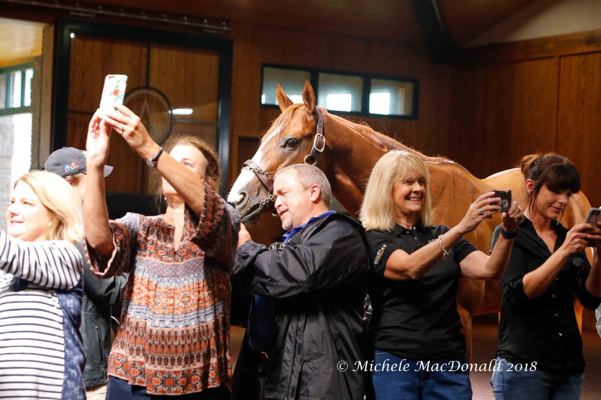 Michele MacDonald tweet media