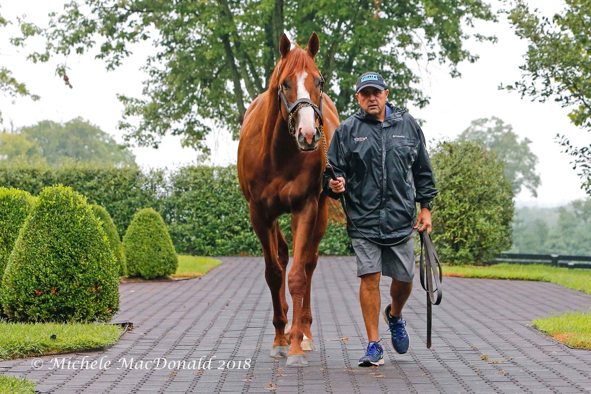 Michele MacDonald tweet media