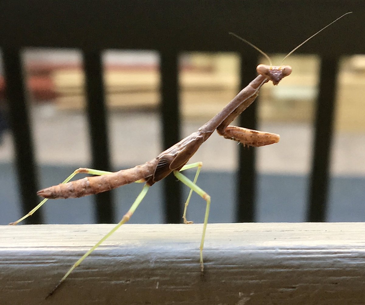 Omar Harb 🍉 tweet media