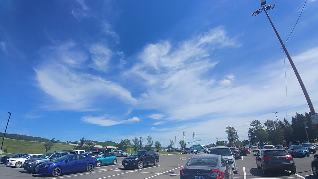 LeeLab_uOttawa's tweet image. Sky of New Brunswick.