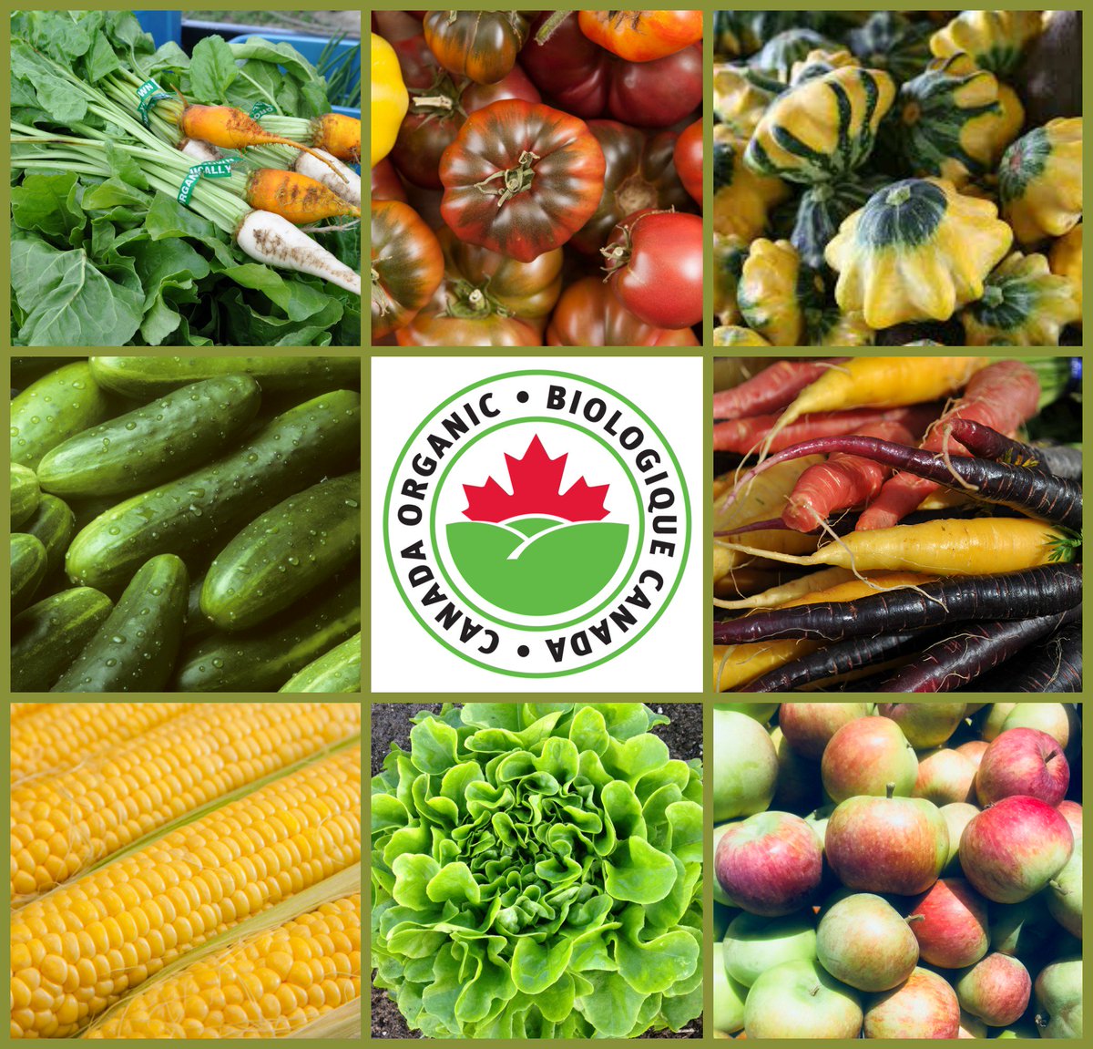 BrysonFarms's tweet photo. We are returning to the @OttawaFarmMkt in Westboro this Saturday (9:30am-3pm). Look for us on the far west end of the market with lots and lots of certified organic heirloom tomatoes, heirloom carrots and beets, apples, SWEET CORN &amp; more! This is what eating local is all about! https://t.co/DKgAv8jA4K