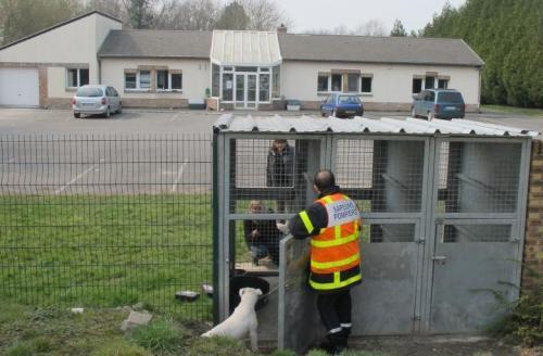 lavoixdunord's tweet photo. À #Hersin, elle abandonne ses deux chiens lors de son déménagement https://t.co/1pLwjdkagg https://t.co/4UoF6mvvDz