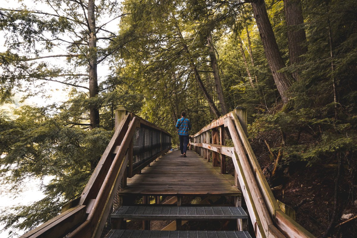 authentic_mi's tweet image. Follow your soul, it knows the way

#Michigan
#Michiganphotos
#Michiganphotography
#FollowFriday