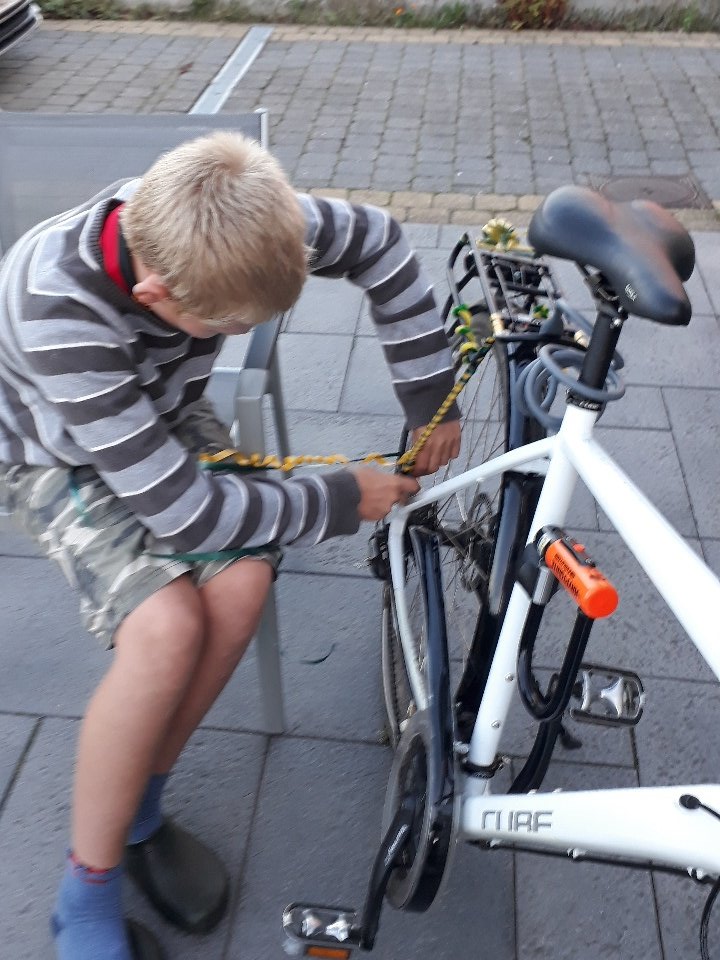 StefGielen's tweet image. Nu al fiets versieren voor #Minigans #Hoevenen van zondag! #ganzenrijden